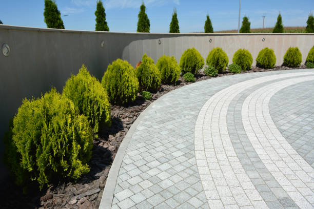 Best Driveway Paving Contractor  in White Salmon, WA